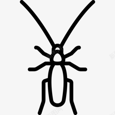蟑螂昆虫直系图标图标