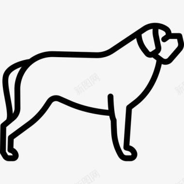 圣伯纳德犬种全身直系图标图标