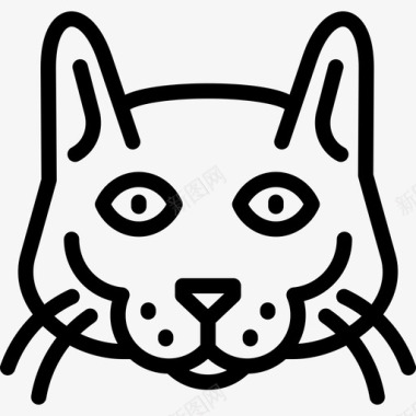科拉特猫猫品种直系图标图标
