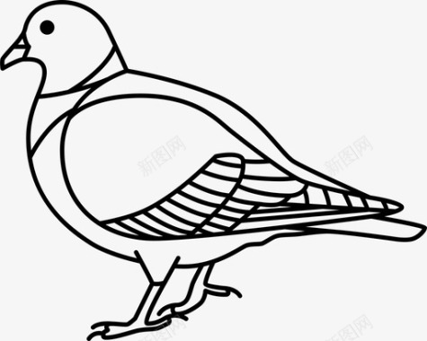 鸽子鸟英国图标图标