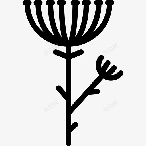 茴香自然植物和花卉图标svg_新图网 https://ixintu.com 植物和花卉 自然 茴香