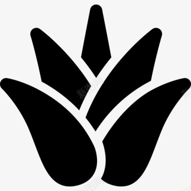 龙舌兰自然墨西哥元素图标图标