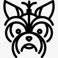 约克郡约克郡梗犬犬种头直系图标高清图片