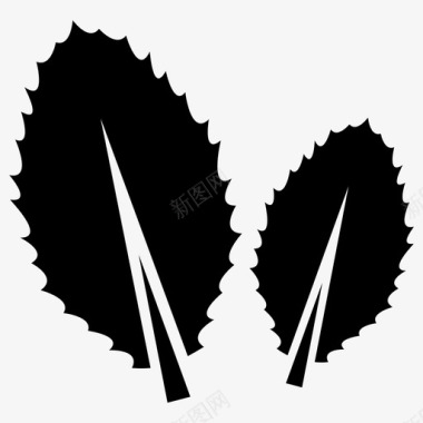 两片叶子生态符号叶子标志图标图标