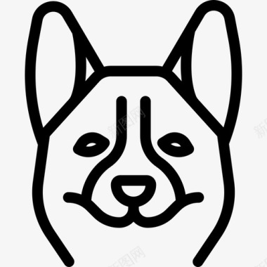 科吉犬犬种头直系图标图标