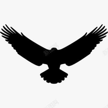 鹰动物鸟的轮廓图标图标