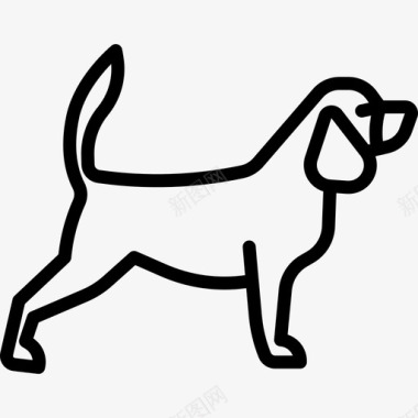 小猎犬犬种全身直系图标图标