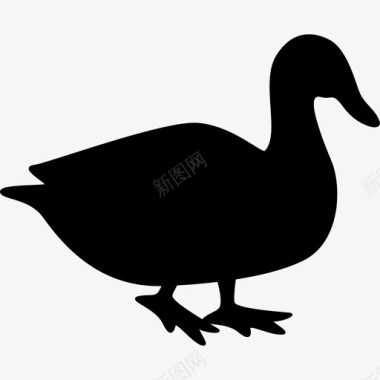 鸭子动物鸟的剪影图标图标