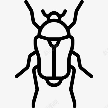 花粉甲虫昆虫线状图标图标