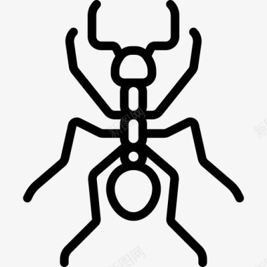 蚂蚁昆虫直系图标图标