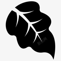 白杨树叶白杨叶叶绿叶图标高清图片