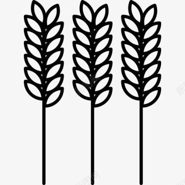 黑麦食物秋天图标图标