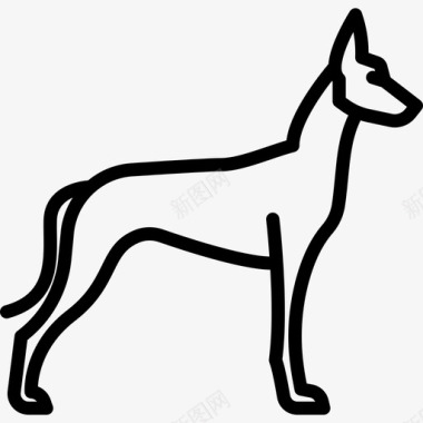 法老猎犬犬种全身直系图标图标