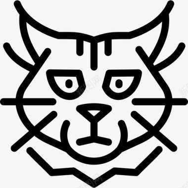缅因州库恩猫猫品种直系图标图标