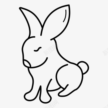 兔子康尼拉宾图标图标