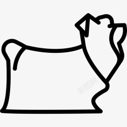 约克郡约克郡梗犬犬种全身直系图标高清图片
