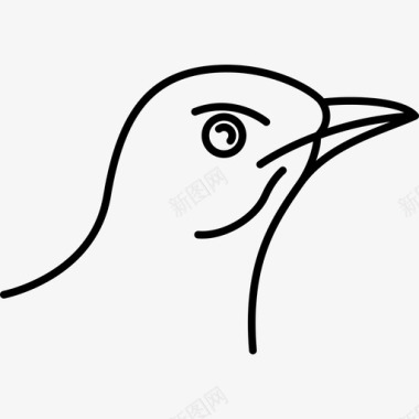 鸟自然鸟类物种图标图标