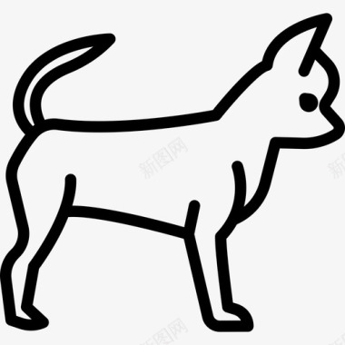 吉娃娃狗品种全身直系图标图标
