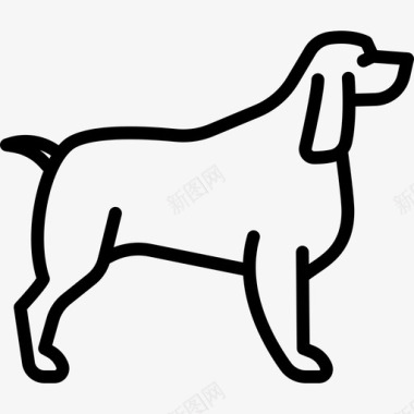 斯普林格猎犬狗品种全身直系图标图标