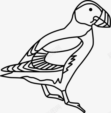 海雀鸟类英国图标图标