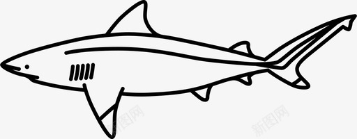 黑鳍礁鲨猎人捕食者图标svg_新图网 https://ixintu.com 捕食者 猎人 鲨鱼 黑鳍礁鲨