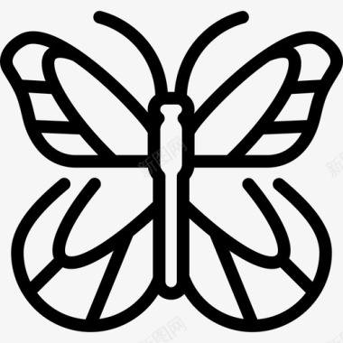 若虫蝴蝶蝴蝶1线形图标图标