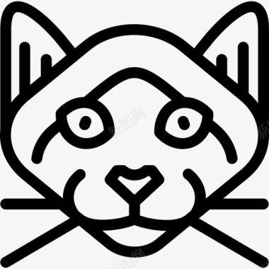 暹罗猫猫品种直系图标图标