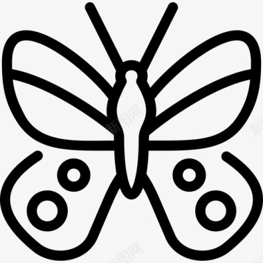 阿波罗蝴蝶蝴蝶1直线型图标图标