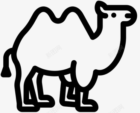 camel图标