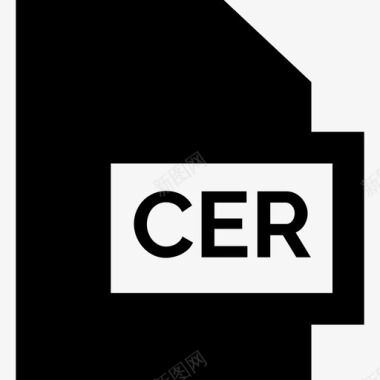 Cer文件格式集合已填充图标图标