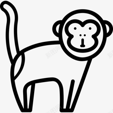 猴子森林动物直系图标图标