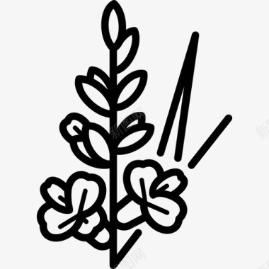 唐菖蒲细花线形图标图标
