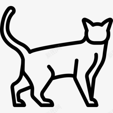 雪鞋猫动物猫繁殖体图标图标