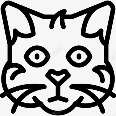 塞尔柯克雷克斯猫猫品种直系图标图标