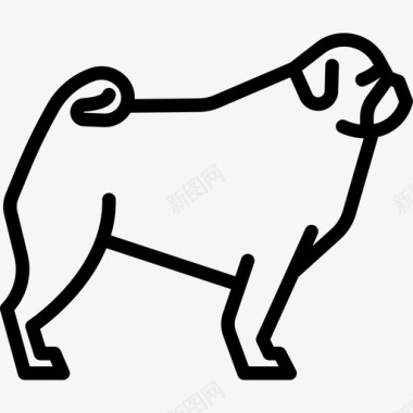 哈巴狗狗繁殖全身直系图标图标