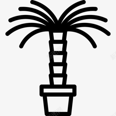 棕榈树自然植物和花卉图标图标
