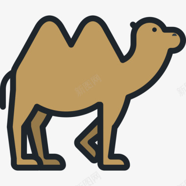骆驼动物10线形颜色图标图标