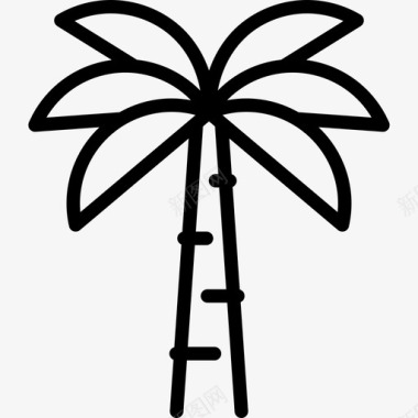 棕榈树埃及线工艺线状图标图标