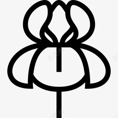 兰花花和叶线形图标图标