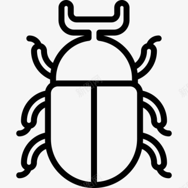 甲虫动物5直系图标图标