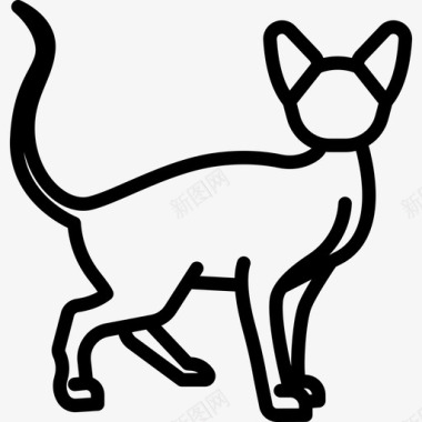 斯芬克斯猫动物猫繁殖体图标图标