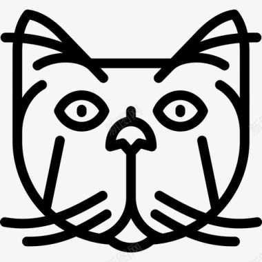 波斯猫猫品种直系图标图标