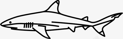 牛鲨顶点捕食者图标图标