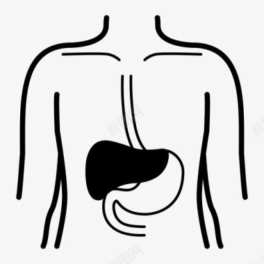 肝脏身体医院图标图标