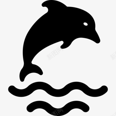 海豚动物冒险运动3图标图标