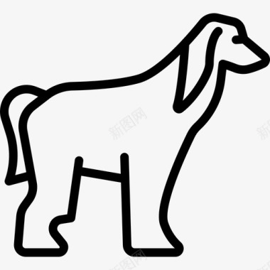 阿富汗猎犬犬种全身直系图标图标