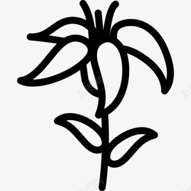 百合自然植物和花朵图标图标