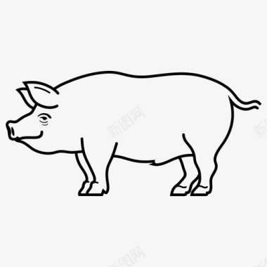 家猪动物哺乳动物图标图标