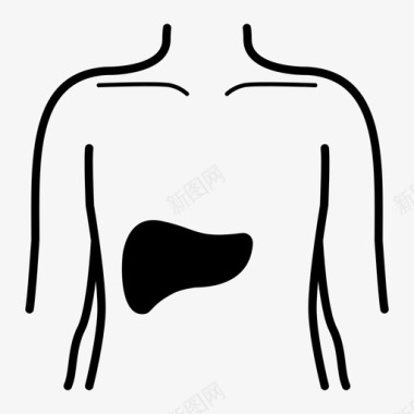 肝脏身体医院图标图标
