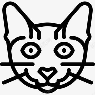 托伊格猫猫品种直系图标图标
